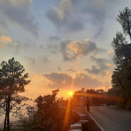 Him Aashrey B&B Homestay Shimla Esterno foto